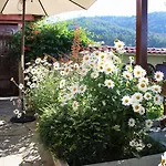 Iliikova House