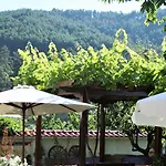 Iliikova House