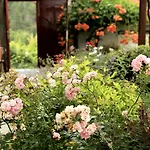 Iliikova House Penzion 3*