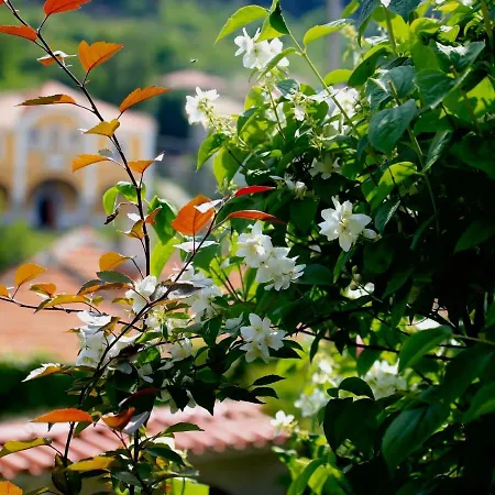Iliikova House Pensjonat 2*