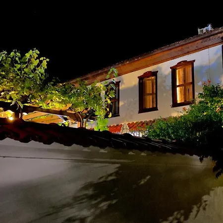 Pensjonat Iliikova House