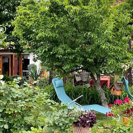 게스트하우스 Iliikova House