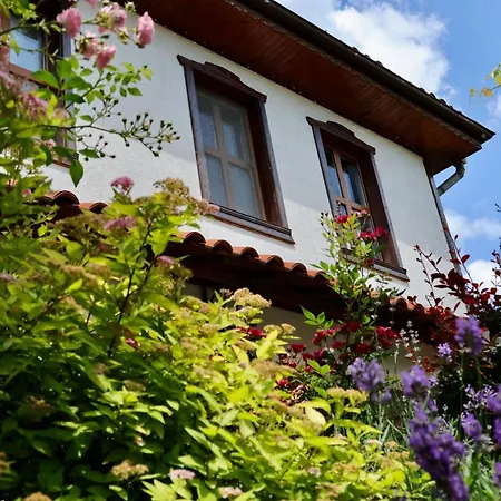 Гостевой дом Iliikova House Калофер