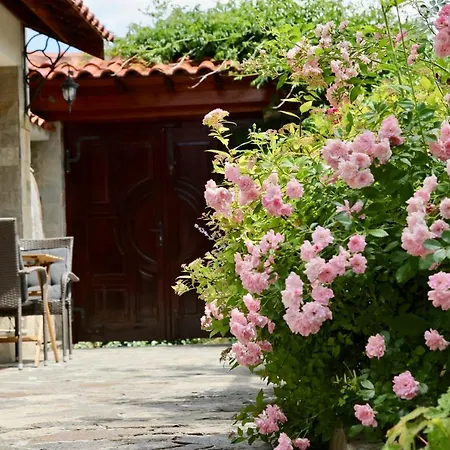 Iliikova House 게스트하우스