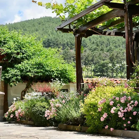 Iliikova House 3*