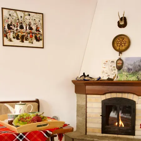 게스트하우스 Iliikova House 3*