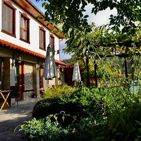 Iliikova House 게스트하우스 칼로페르