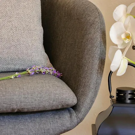 Iliikova House Гостевой дом 3*