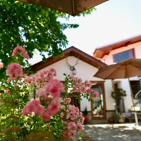 Iliikova House 게스트하우스 3*