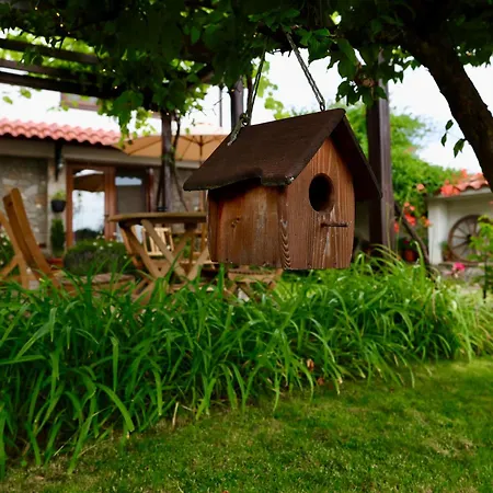 게스트하우스 Iliikova House