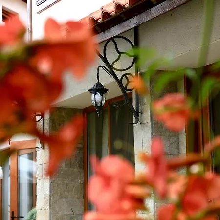 Pensjonat Iliikova House Kałofer